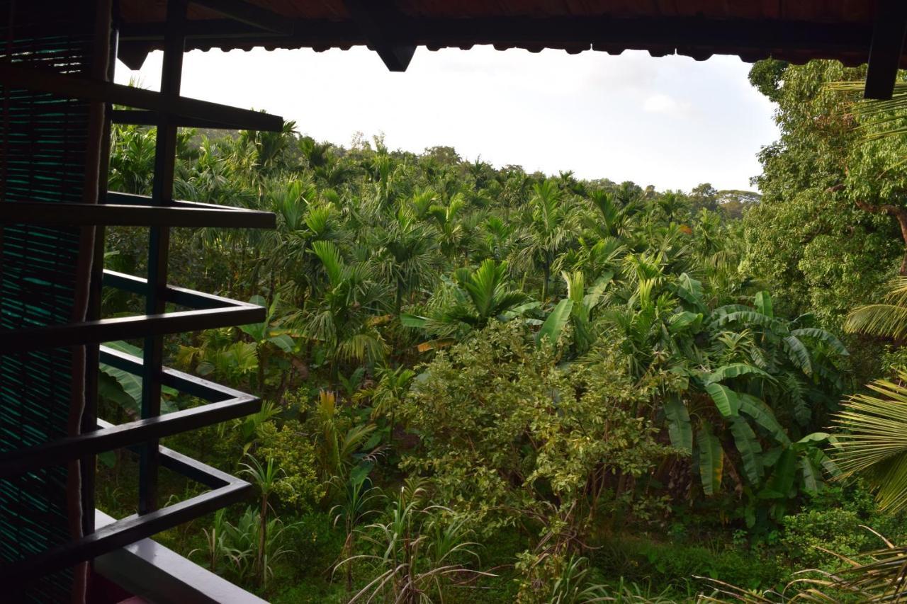 Ibbani Homestay, Siddapur Exterior photo