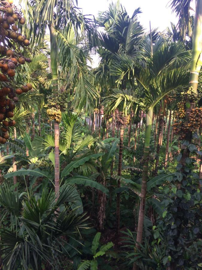 Ibbani Homestay, Siddapur Exterior photo